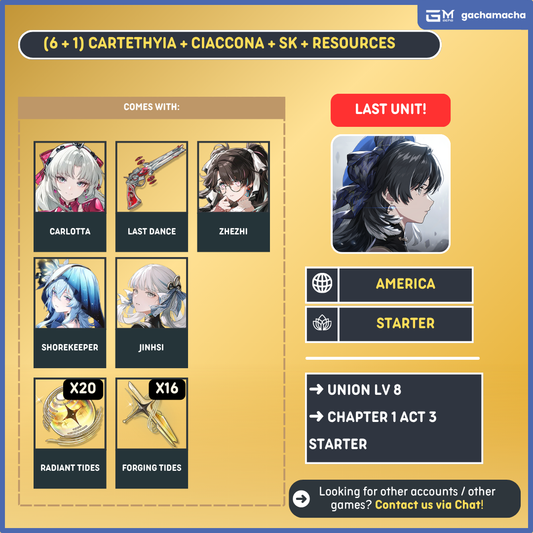 America | Wuthering Waves Starter | Carlotta + Carlotta SigW + Zhezhi + Shorekeeper + Jinhsi + 12 + 16 | NA-WW-APX06